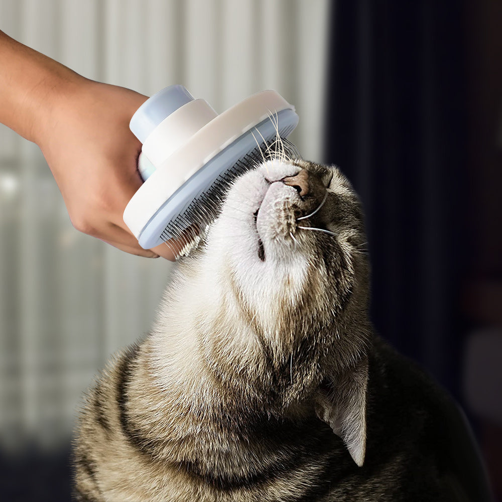 Pet Grooming Brush